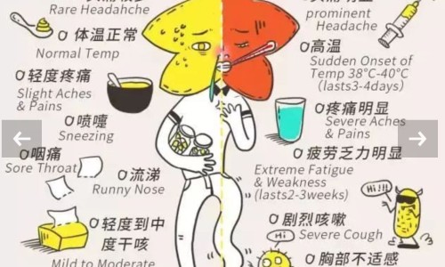 感冒咳嗽止咳最快的药-感冒咳嗽止咳最快的药、感冒咳嗽吃什么好得快最有效 -感冒咳嗽期间能补乳铁蛋白吗网